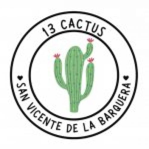 13 CACTUS LOGO