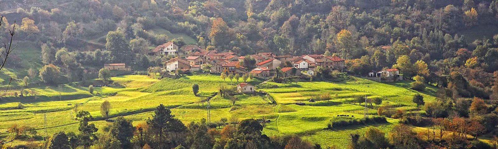 Asociación para el Fomento y Desarrollo de San Vicente de la Barquera