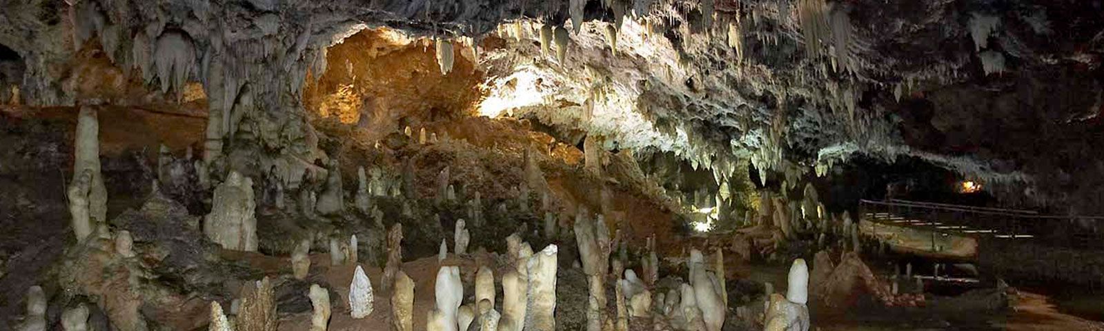 Asociación para el Fomento y Desarrollo de San Vicente de la Barquera